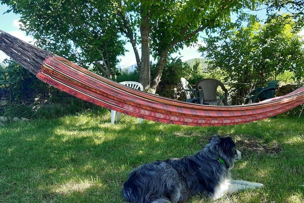Les Granges Dans Ferme Provencale. 14 Pers Holiday home *