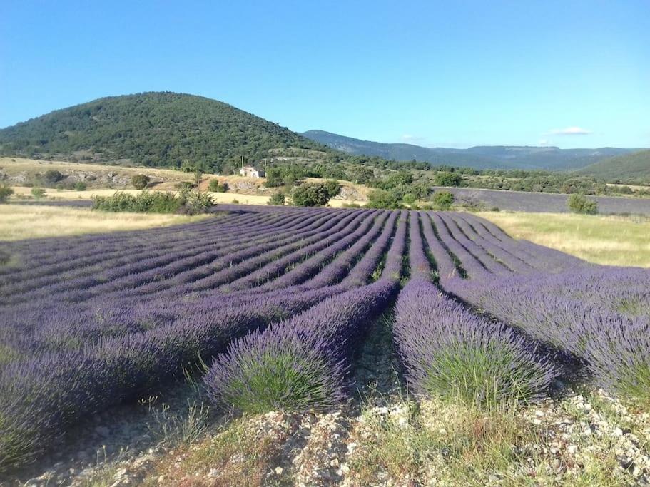 Holiday home Les Granges Dans Ferme Provencale. 14 Pers