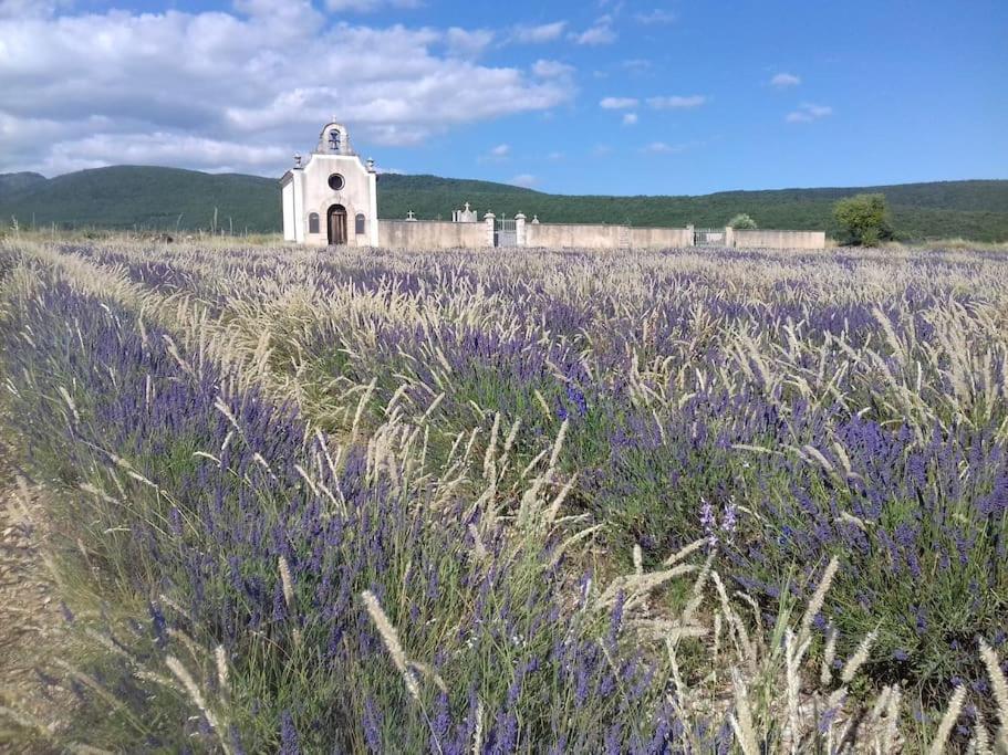 Holiday home Les Granges Dans Ferme Provencale. 14 Pers