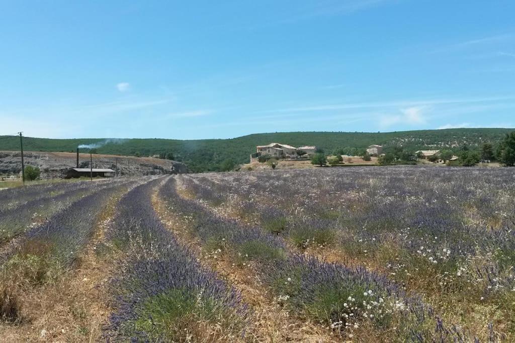 Les Granges Dans Ferme Provencale. 14 Pers