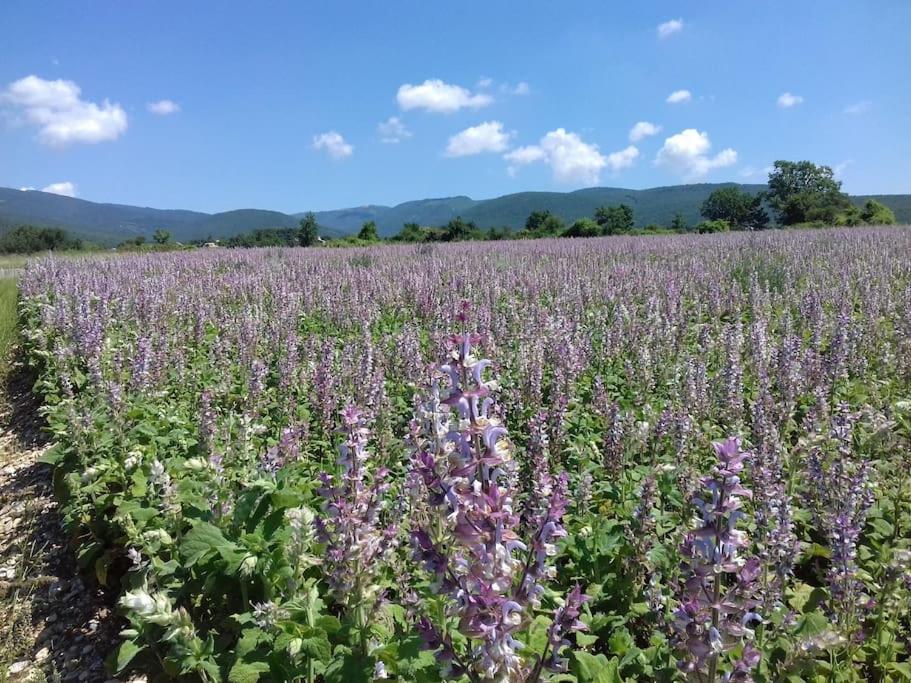 Les Granges Dans Ferme Provencale. 14 Pers Holiday home Ongles