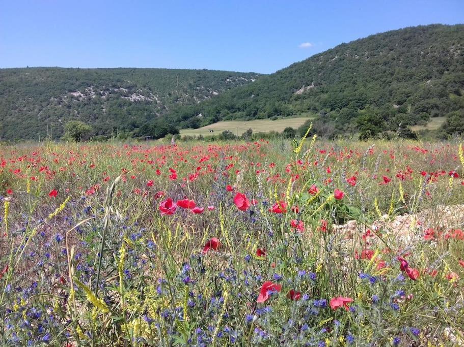 Les Granges Dans Ferme Provencale. 14 Pers Holiday home Ongles